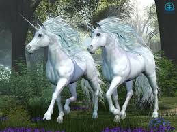 Female american unicorns are known to run twice as fast as their male counterparts. Amazing Unicorn Pictures Deshen Daily Devotional