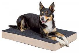 Ob für zuhause oder unterwegs: Memory Foam Matratze Fur Hunde