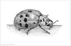 Check spelling or type a new query. 7 1 Menggambar Flora Fauna Dan Alam Benda Sinau Bareng