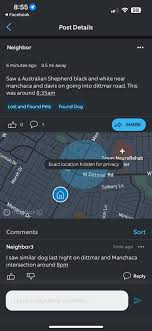 Austin Lost and Found Pets