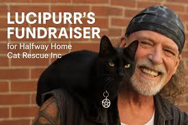 Lucipurr