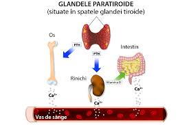 We did not find results for: Hipocalcemia Semne Simptome Diagnostic Tratament Reginamaria Ro