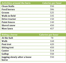 Calories burned mowing the lawn 325 calories / hour burn some calories and save money and forget about hiring a gardener. Who Needs A Gym Membership When You Have Horses Kpp