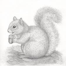 Produkt Animal Drawings Cute Drawings Animal Sketches