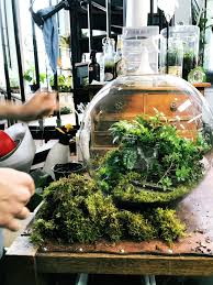 Large Custom Globe Terrarium Woodland Forest Terrarium Planted With Ficus Pumila Ficus Pumila Quercifolia Dryopteris Bottle Garden Ficus Pumila Green Art