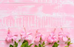 Download and use 100,000+ pink background stock photos for free. Wallpaper Flower Pink Background Hd Wallpaper