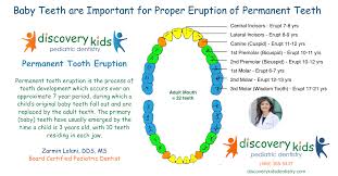 Permanent Tooth Eruption Pediatric Dentist In Frisco