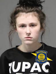 Luther woman takes plea deal in Wexford Co. murder