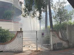 In 1528, charles v, holy roman emperor, granted the entire area corresponding to the present town of pescara to costanza d'avalos, duchess of francavilla.in 1700, the extension of the forest was resized due. Jxdzzijchx54rm