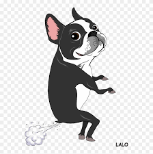 What kind of illustration is a boston terrier? Boston Terrier Clipart I Love Cute Cartoon Boston Terrier Free Transparent Png Clipart Images Download