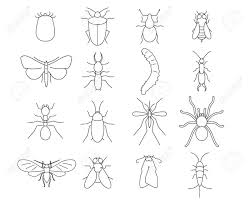 See more ideas about pests, pest control, bug repellent. Insects Pest Extermination Thin Line Art Icons Set Linear Royalty Free Cliparts Vectors And Stock Illustration Image 146171640
