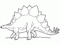 Dessin De Stegosaure Dessin Dinosaure Dinosaure A Colorier Coloriage Dinosaure