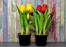 Best artificial flowers for outdoors. Best Artificial Lillies Faux Fake Flowers Bos