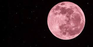 Cabe señalar que esta será una buena. Disfruta Hoy La Luna Rosada Lo Mas Visto En Redes Noticias Tvp Tvpacifico Mx