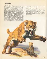 Love In The Time Of Chasmosaurs Vintage Dinosaur Art Private Lives Of Animals Prehistoric Animals Part 3 Prehistoric Animals Smilodon Dinosaur Art