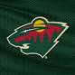 Dallas Stars at Minnesota Wild event in St Paul, MN