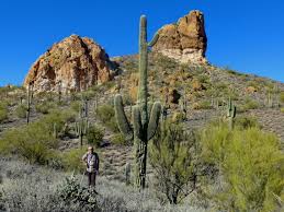 Like the vanilla cactus, it can also be smelted into green dye. Grand Canyon And Southern Arizona