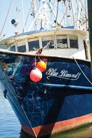 Check spelling or type a new query. Destination Point Pleasant Beach