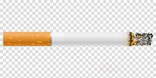 Download Burning Cigarette Png Clipart Cigarette Clip Art Png Image With No Background Pngkey Com Cigarette graphy tobacco products, cigarette png. download burning cigarette png clipart