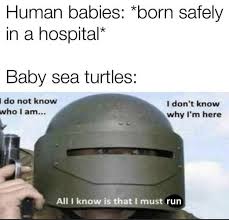 A Random Assortment Of Hilarious Memes Memebase Funny Memes Find our latest funny pictures and laugh even more. a random assortment of hilarious memes