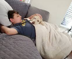 Everyone loves the love and companionship that comes with having a dog, but for some people, it goes farther. Emotional Support Animal Esa Training Programs Information And Success Stories Specialty Dog Training