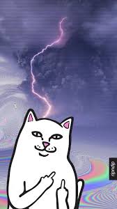 Ripndip Ripndip Wallpaper Hypebeast Wallpaper Swag Wallpaper