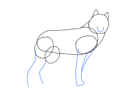 Find out here, a table showing the symbols of the state including state bird, animal, color, fish and more. How To Draw A Wolf Best Cool Funny Animal Drawings How To Draw A Wolf Animals Sketch