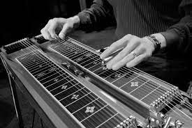 Tips For Finding A Good Used Pedal Steel Guitar Lovetoknow