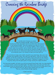 There is plenty of food, water and sunshine, and our friends are. The Famous Rainbow Bridge Story
