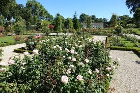 How to start a rose garden. 15 Stunning Rose Garden Ideas How To Plant A Rose Garden