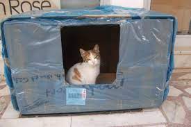 Pratik kedi evi yaparken ilk yapacağımız şey kullanacağımız kutunun üzerine kedinin geçmesine yetecek büyüklükte bir delik açmak. Kedi Evi Yapimi Kedi Evi Yapma Miyhav Com