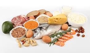 Image result for protein image