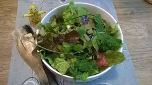 Dix Petits Plaisirs Ceto Cetomoi Recettes Cetogenes Ceto Glucide