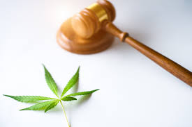 Besitz,anbau, verkauf und handel stehen unter strafe. Cbd Ol Ist Cbd In Deutschland Legal Gesundheitszentrale