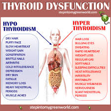 Pin By Stepin2 On Disease Fighting Charts Thyroid