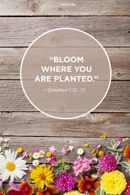 The Sweetest Spring Quotes To Welcome The Season Of Renewal Spring Quotes Happy Spring Spring