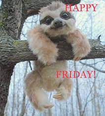 Pin By Kris Carroll On Viernes Its Friday Quotes Happy Friday Quotes Fun Weekend Quotes