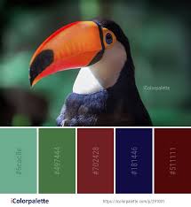 Bird With Long Colorful Beak Color Palette Ideas From 2162 Beak Images Icolorpalette Color Palette Summer Color Palette Color