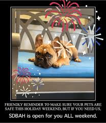 We did not find results for: San Diego Bay Animal Hospital Veterinarian San Diego California Facebook 1 Review 209 Photos