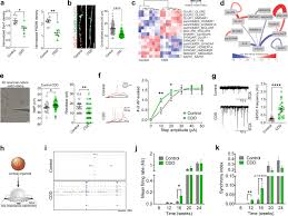 Check spelling or type a new query. Altered Network And Rescue Of Human Neurons Derived From Individuals With Early Onset Genetic Epilepsy Molecular Psychiatry