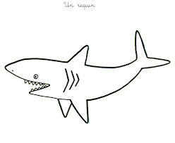 Coloriage A Imprimer Un Requin