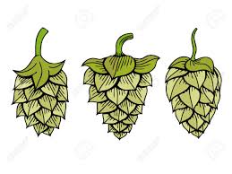 El módulo de un vector es un número que coincide con la «longitud» del vector en la representación gráfica. Conjunto De Lupulo Del Vector Icono De Grafico Visual Ideal Para La Cerveza Cerveza De Malta Cerveza Inglesa Cerveza Dorada Etiquetas Y Envases Amargas Etc Lupulo Es Una Planta Herbacea Que Se