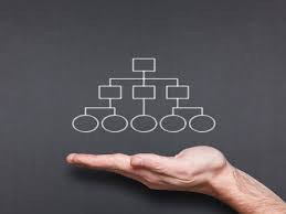 Job Titles Are The Official Names Or Designations For The Title Of What You Would Call An Employee Who Is Performin Executive Jobs Job Title Organization Chart
