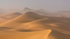 Palm desert, california, united states of america. Six Best Day Trips From Abu Dhabi Conde Nast Traveler