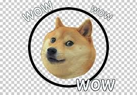 According to shiba inu, the reasoning behind the creation of shiba is that shibas constantly forget where they bury their treasure. Shiba Inu Dogecoin Doge Run World Of Warcraft Png Clipart Animal Apk Aptoide Carnivoran Dog Free