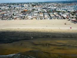 Luke Ginger, Author at Heal the Bay