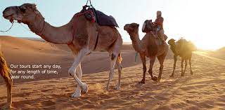Experience the authentic morocco with local tour guides facebook'ta camel tours morocco'nun daha fazla içeriğini gör. Morocco Sahara Desert Camel Tours