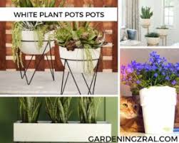Flower pots have had various uses over time: 30 Amazing Indoor Plant Pots You Must Try Gardening Zeal