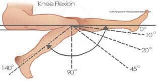 Knee Range Of Motion And Movements Bone And Spine