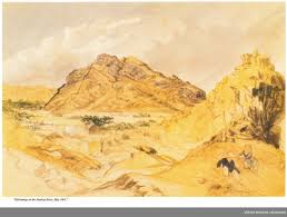 Image result for Selago dinteri